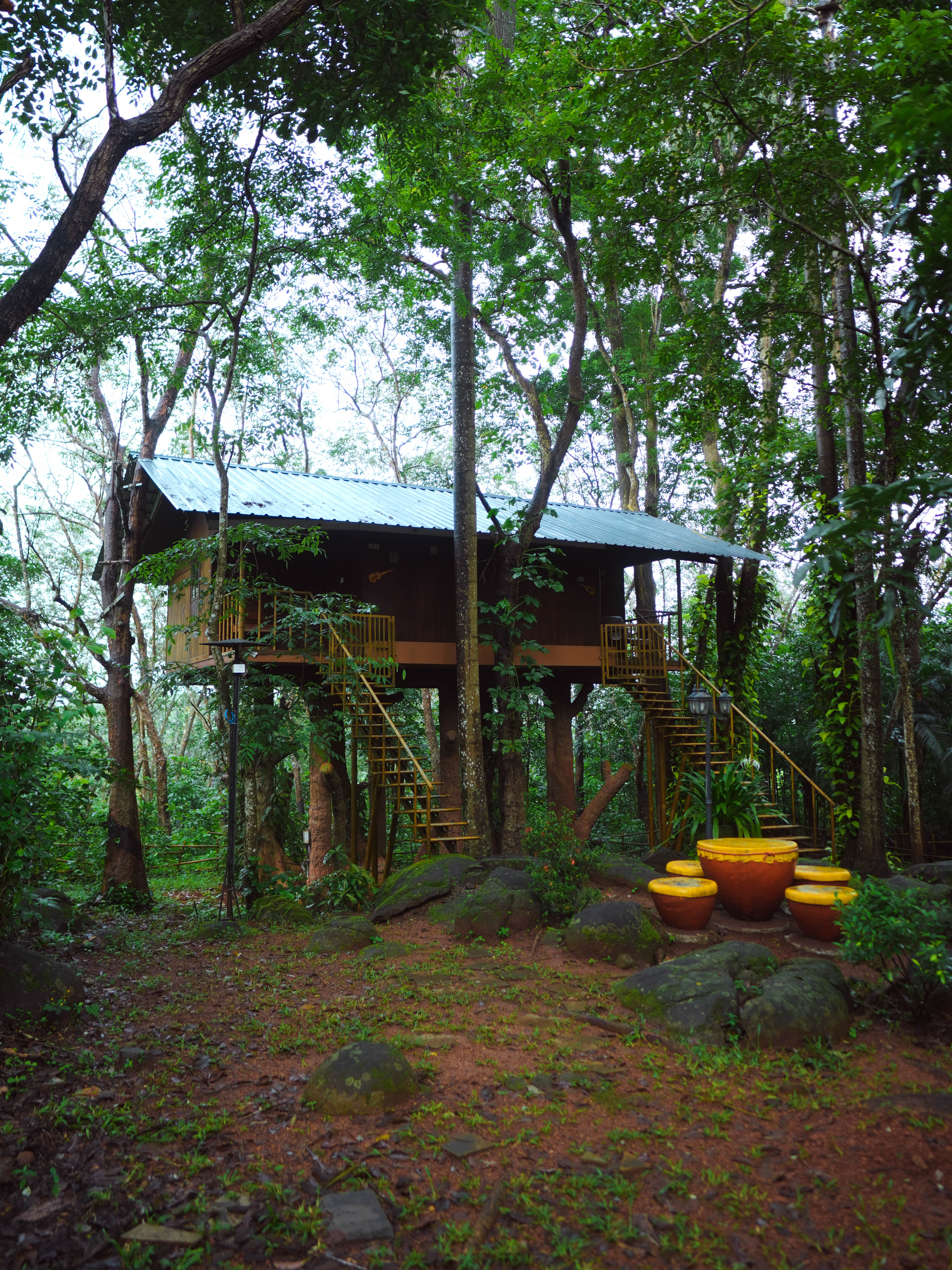 Tree House